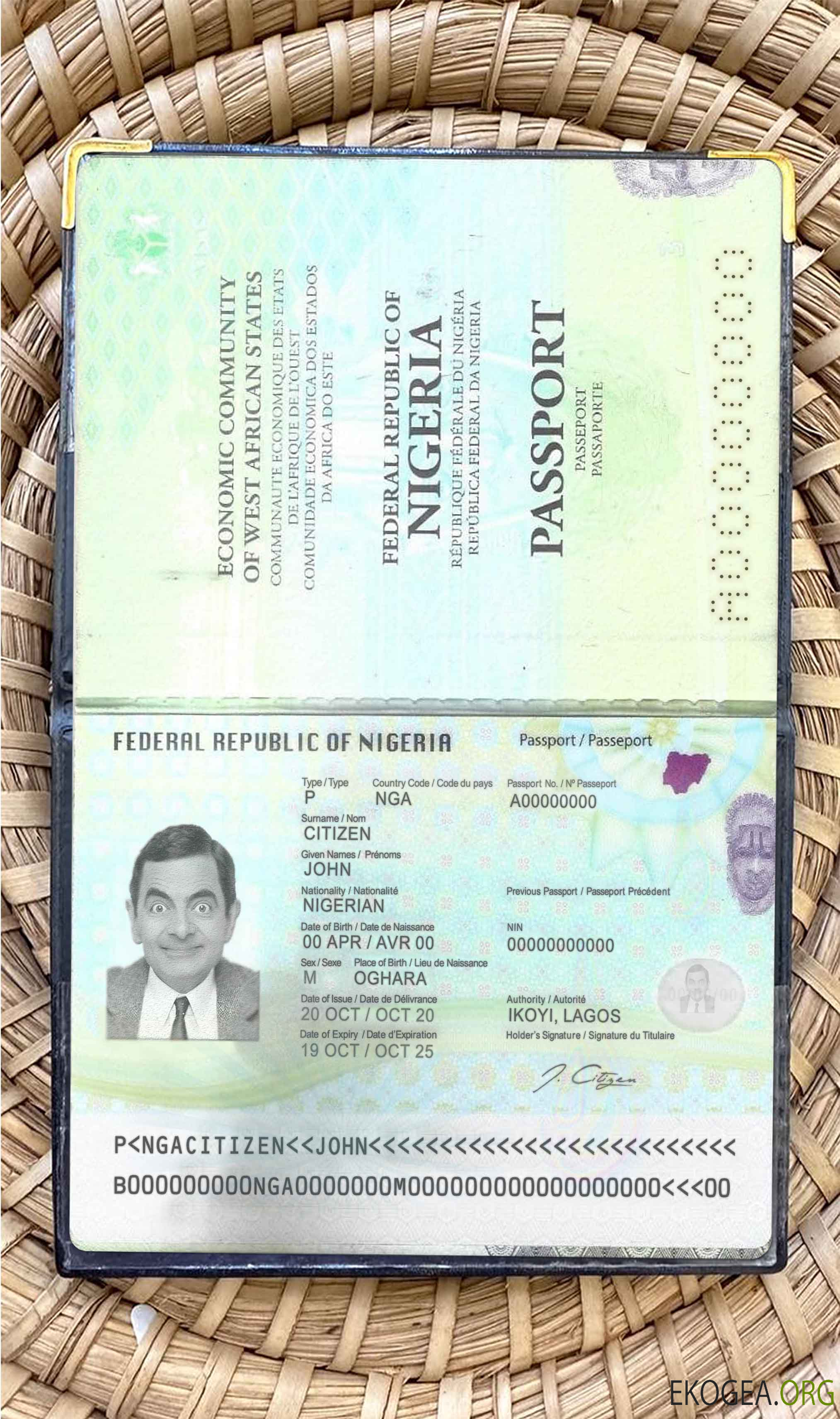 Aperçu de la photo du passeport nigérian (2019 présent)